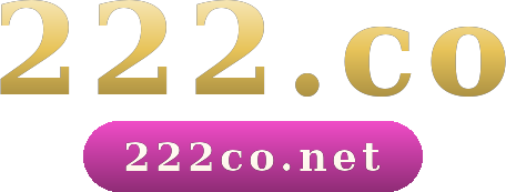 222.co logo